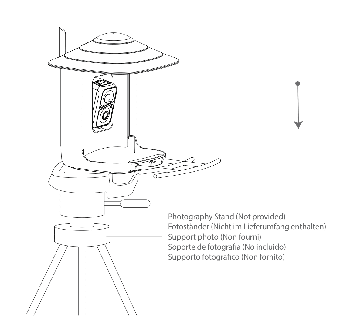 AI Bird Feeder Quick Guide - VicoHome